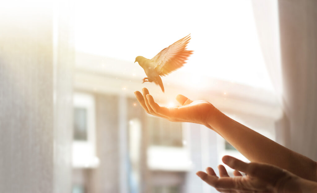 Woman praying and free bird enjoying nature from window at home