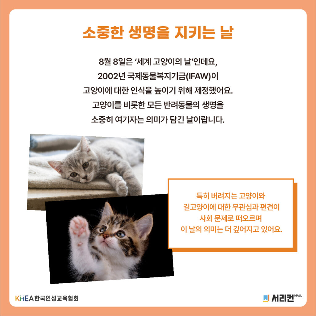 58 250808 고양이의 날