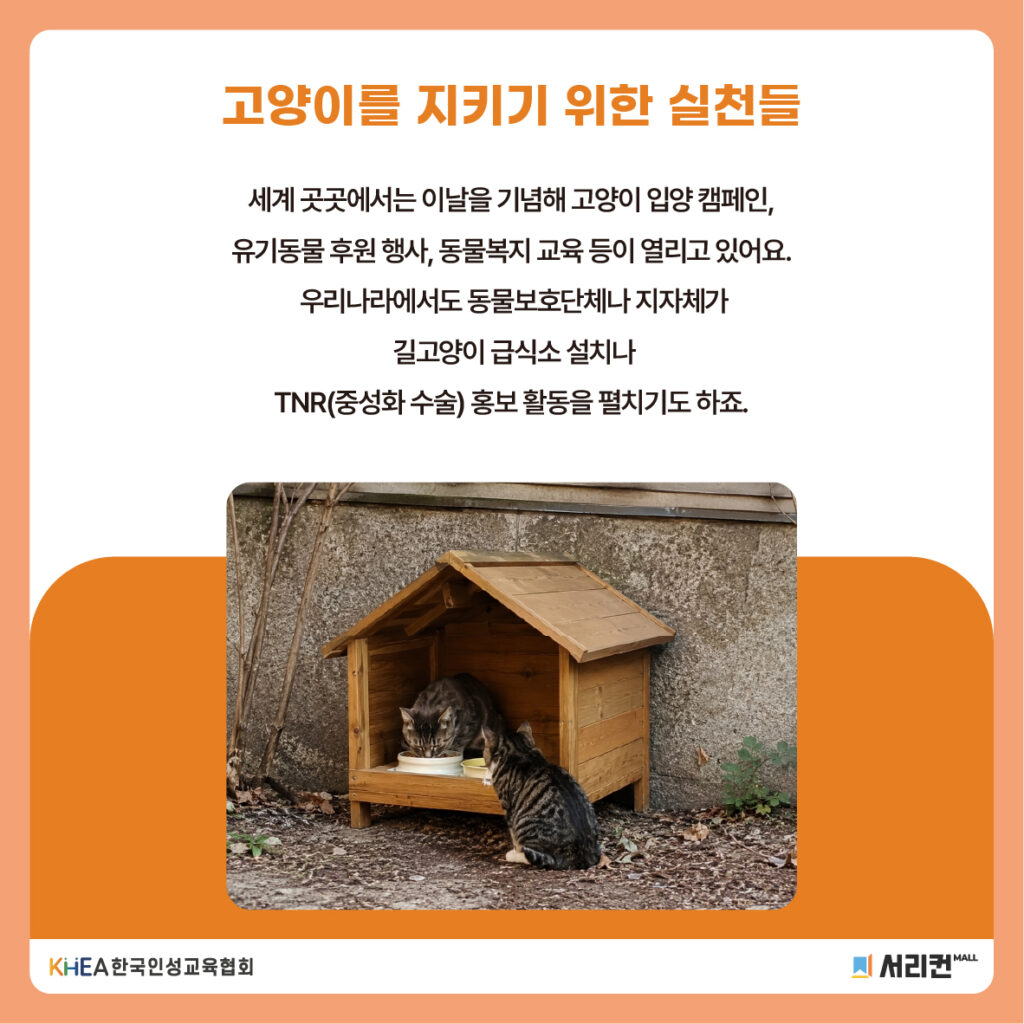 58 250808 고양이의 날