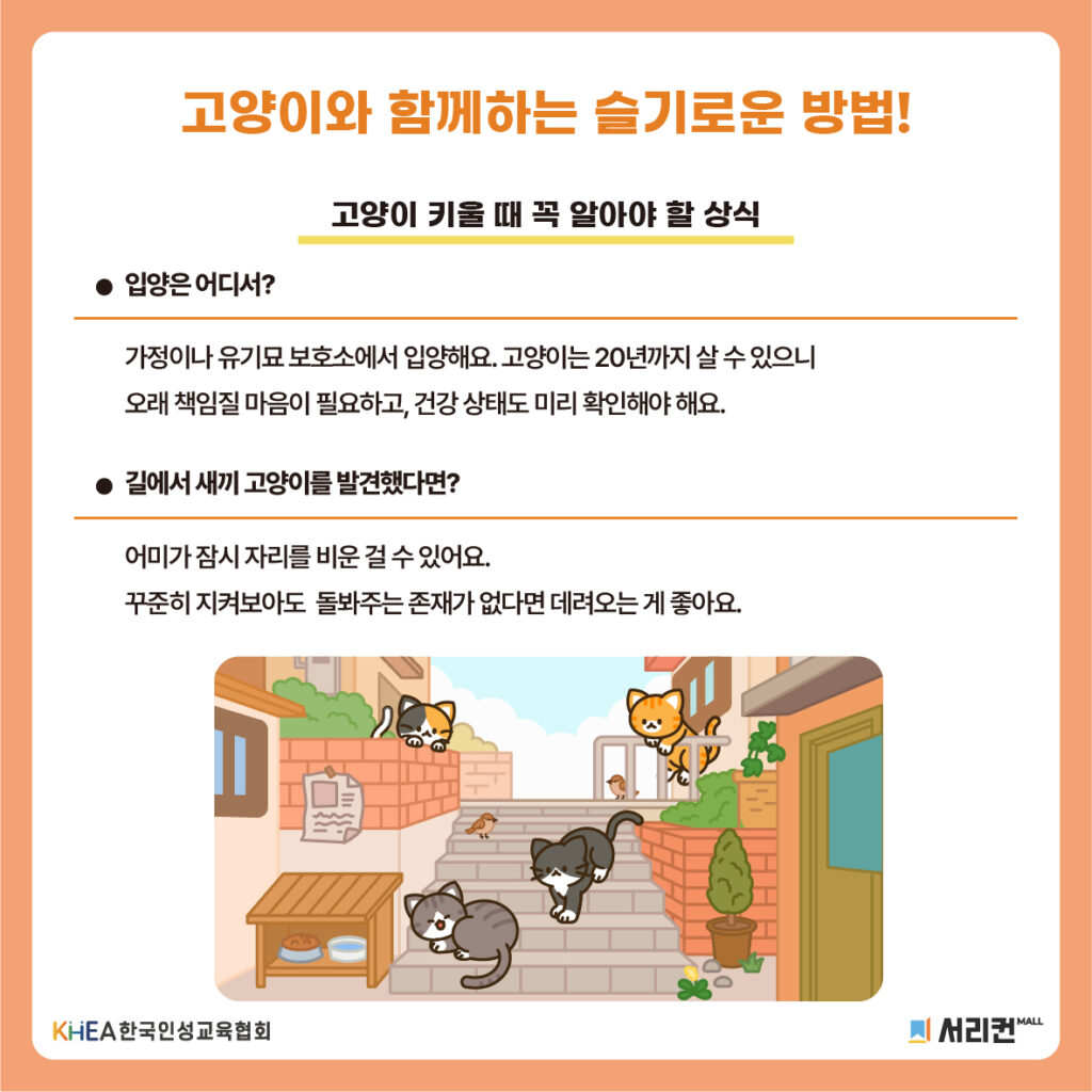 58 250808 고양이의 날