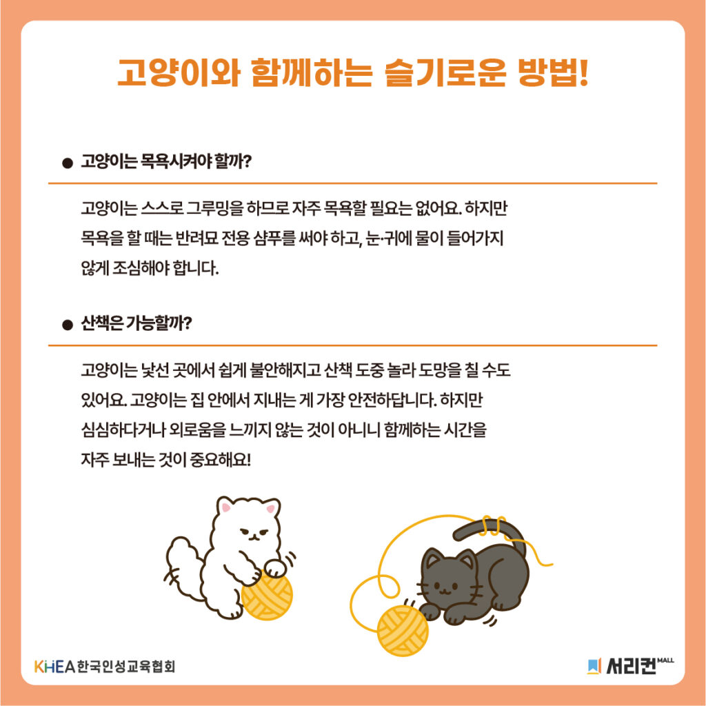 58 250808 고양이의 날
