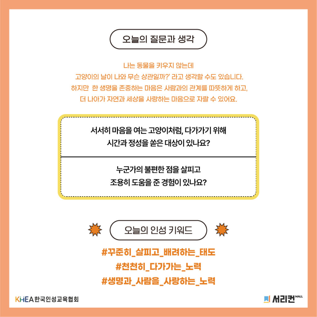 58 250808 고양이의 날